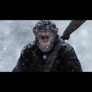 Meet your Posher, Jon-alex